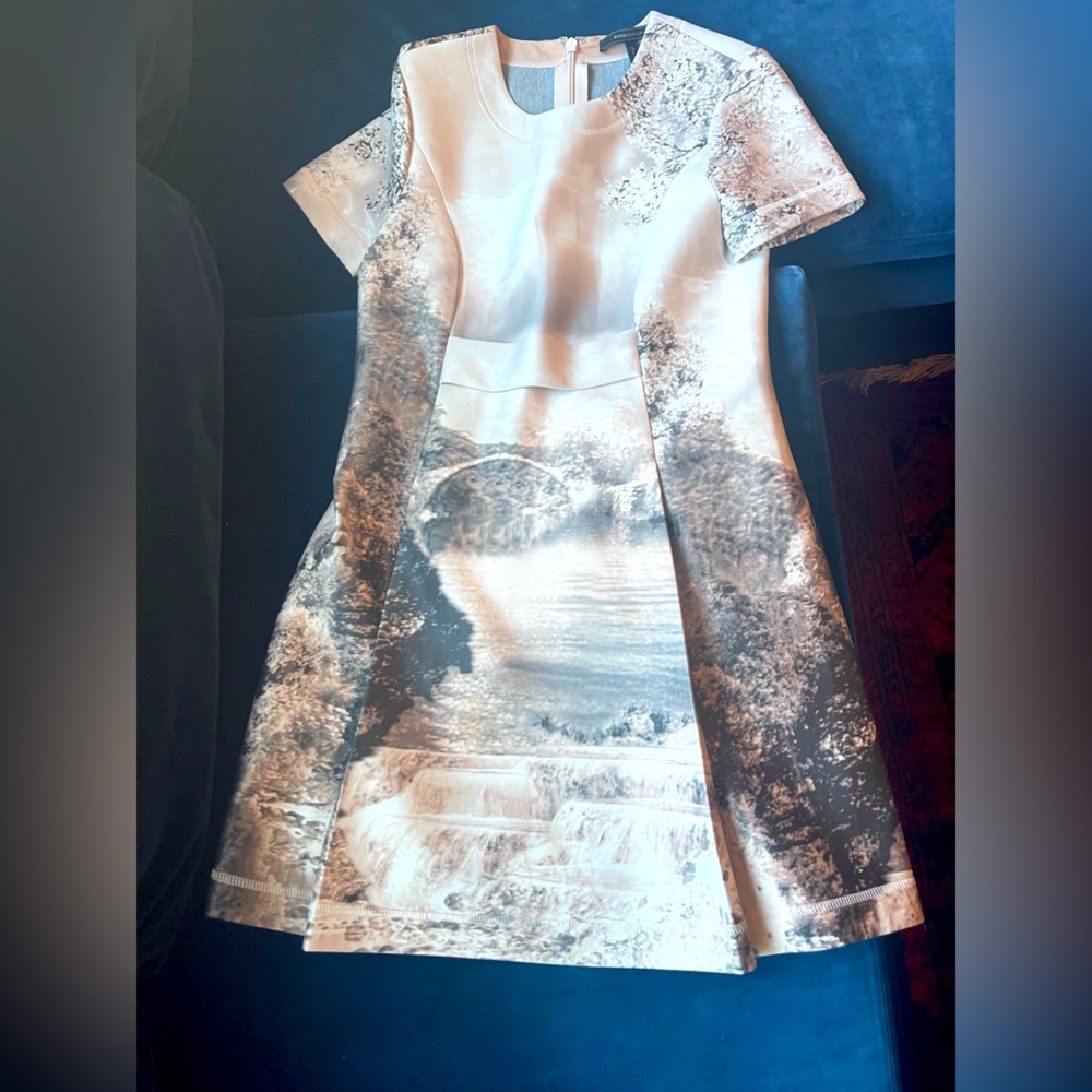 BCBGMAXAZRIA Landscape Print Dress, Size 4